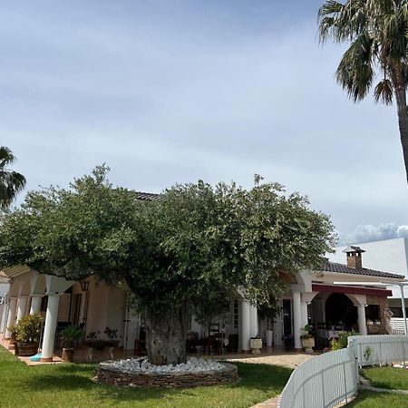 Luxury Tropical Villa In Grao Benicassim Grao de Castellon Exterior photo